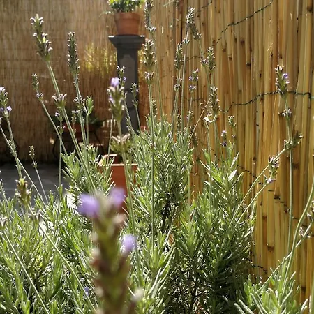 Small Wonder Tiny Town House